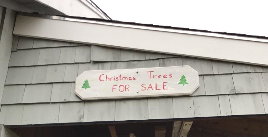 sign reading trees for sale