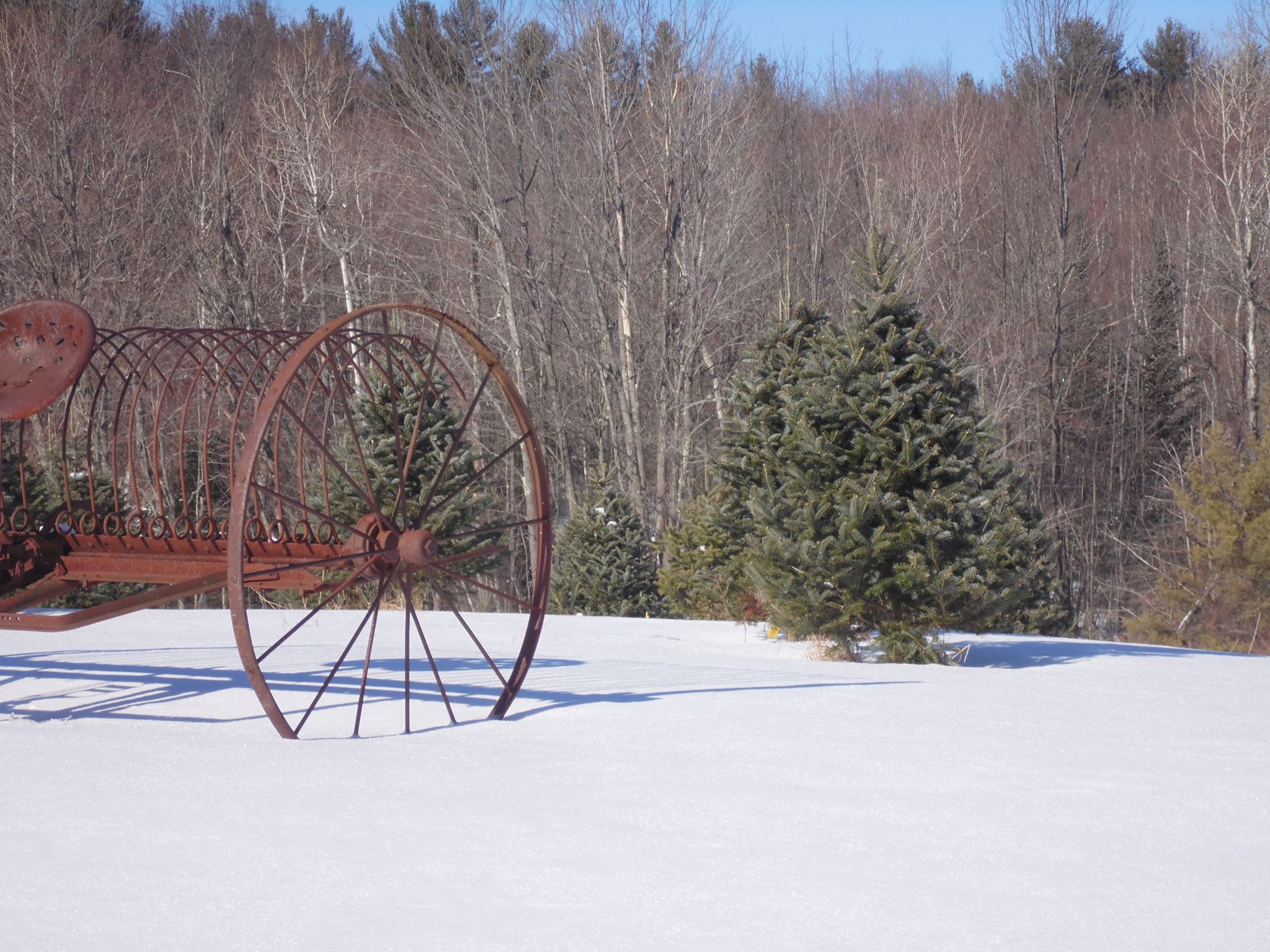 A farm implement sitting on a snowy hill